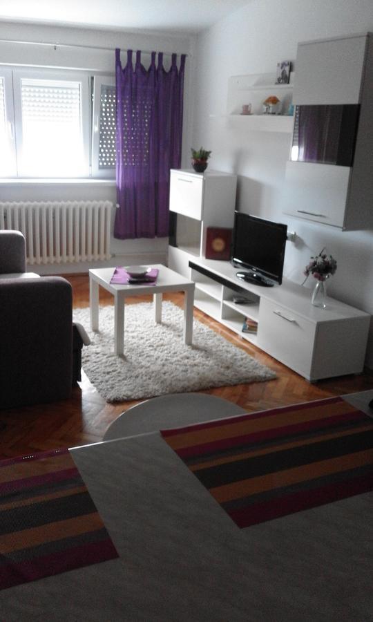 Tami Apartment Novi Sad Exterior foto